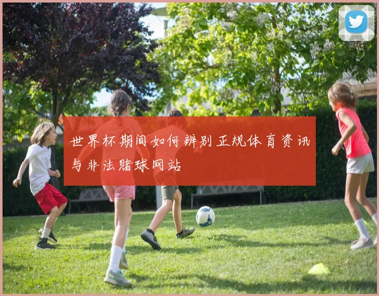 世界杯期间如何辨别正规体育资讯与非法赌球网站